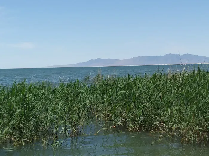 Willow Creek Campground Picture 3