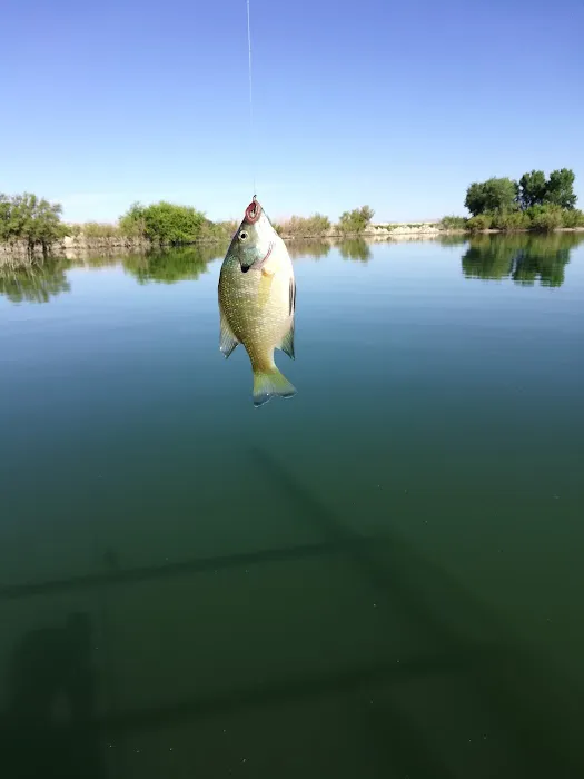 Willow Creek Campground Picture 7