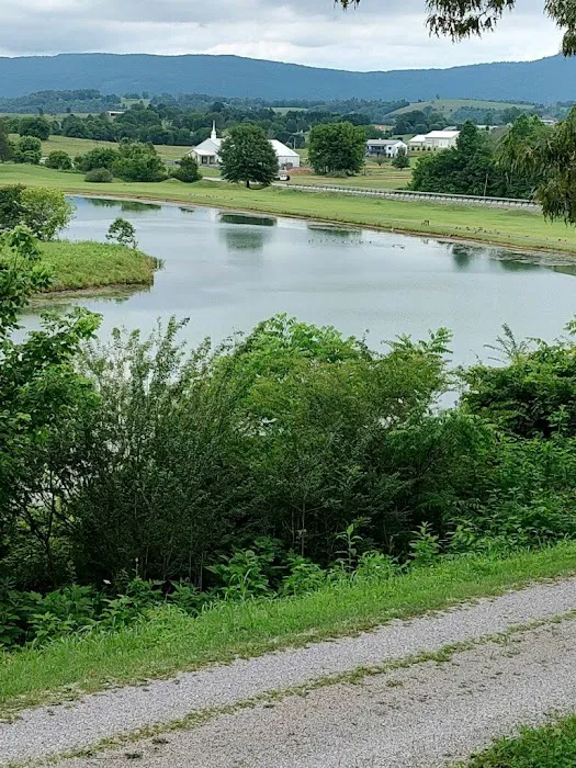 Mt Airy RV Park Picture 2