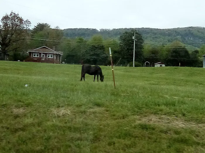 Mt Airy RV Park Picture 8