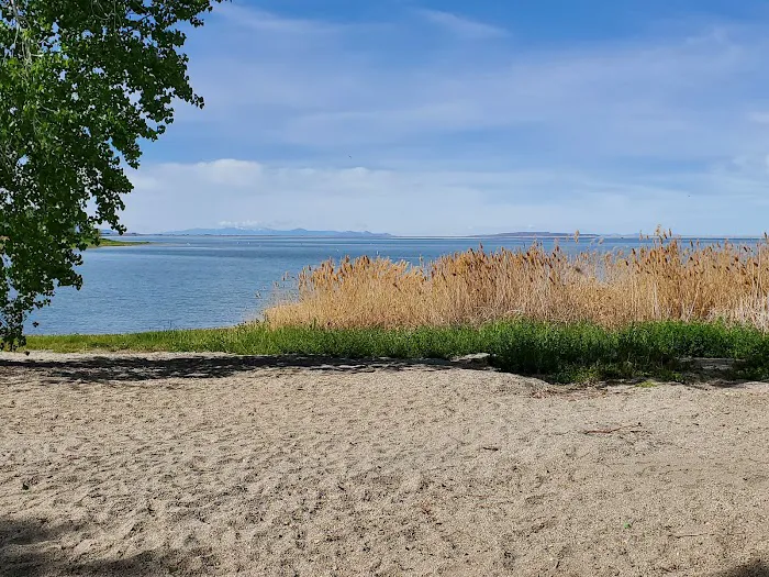 Cottonwood Campground Picture 6