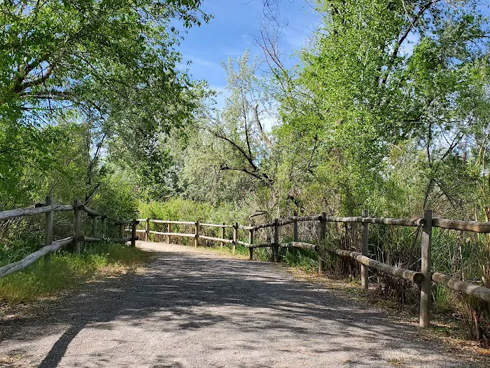 Cottonwood Campground Picture 8