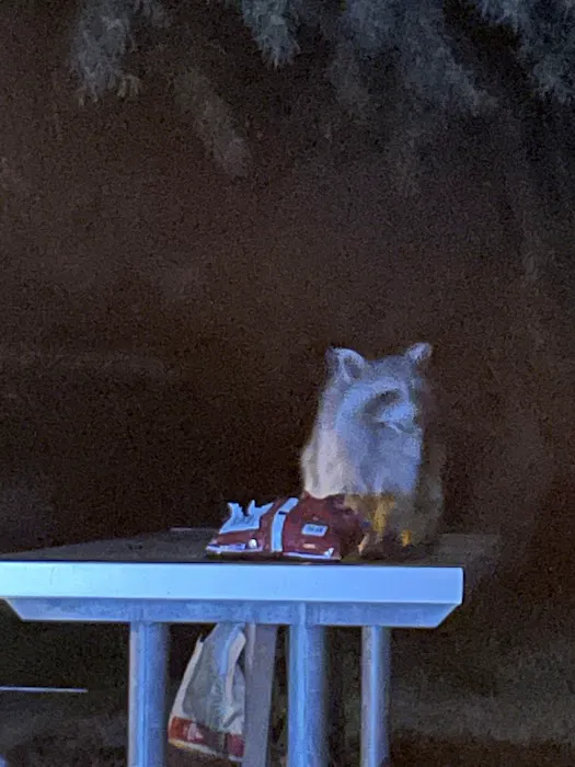 Cottonwood Campground Picture 10