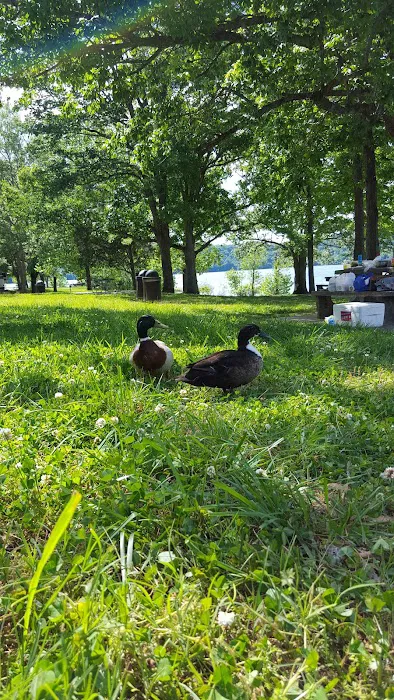 Garrett RV Park Picture 9