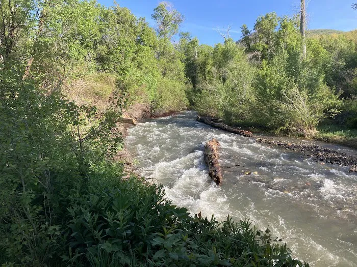 Lomondi Recreation Camp Picture 1