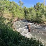 Lomondi Recreation Camp