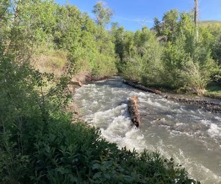 Lomondi Recreation Camp