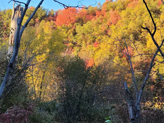 Lomondi Recreation Camp Picture 4