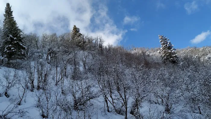 Lomondi Recreation Camp Picture 5