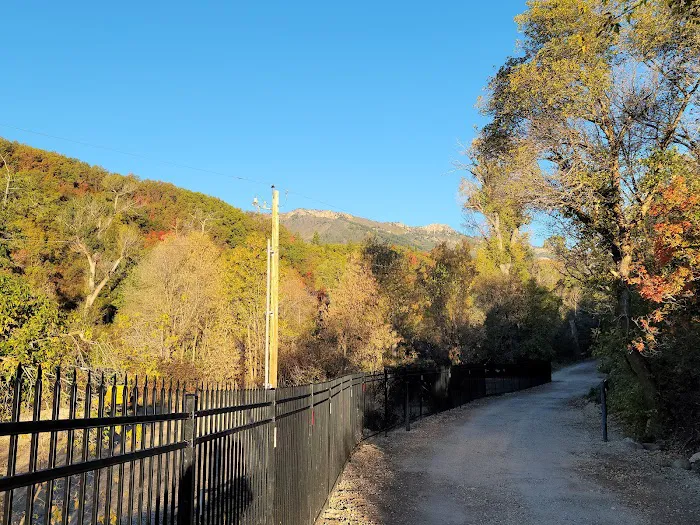 Lomondi Recreation Camp Picture 6