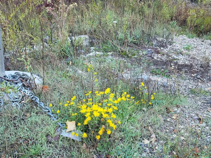 Lomondi Recreation Camp Picture 7