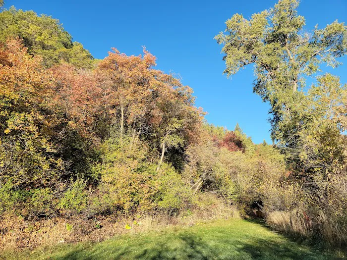 Lomondi Recreation Camp Picture 8