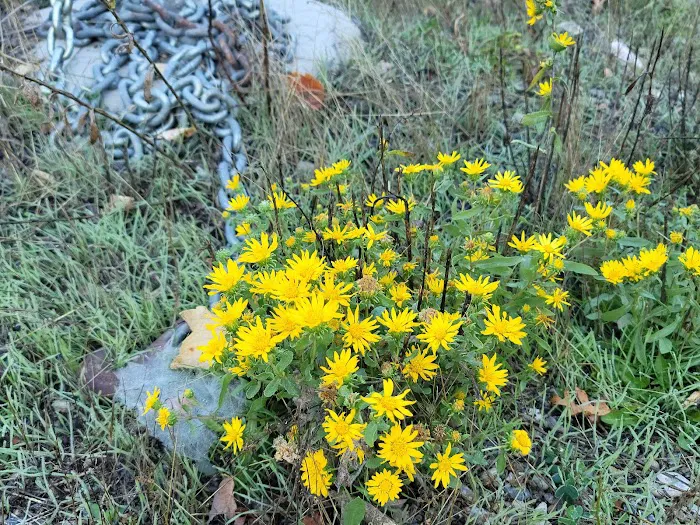 Lomondi Recreation Camp Picture 9