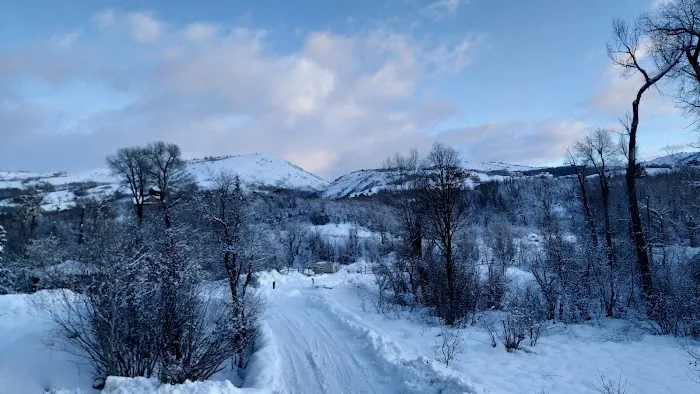 Lomondi Recreation Camp Picture 10