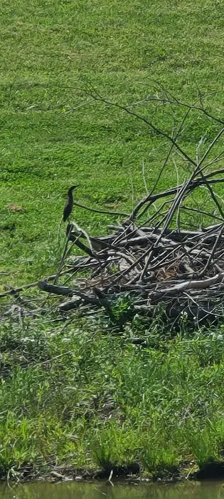 Owl Hollow Retreat Picture 10