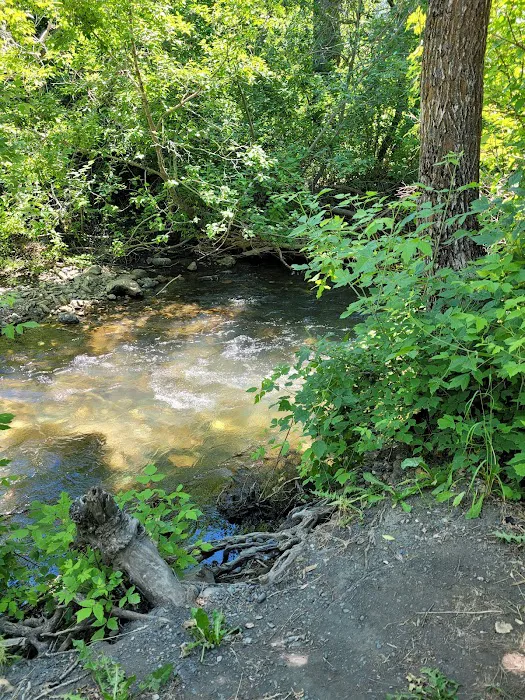 Mustang Flats Campground Picture 4