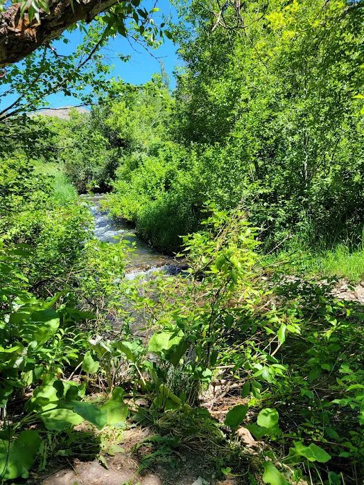 Mustang Flats Campground Picture 10