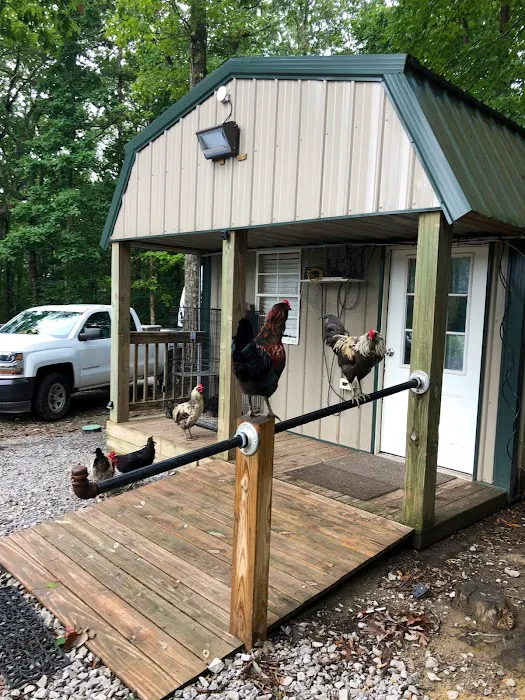 Shadowlands Picture 1