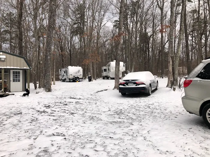 Shadowlands Picture 2