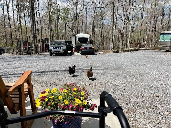 Shadowlands Picture 5