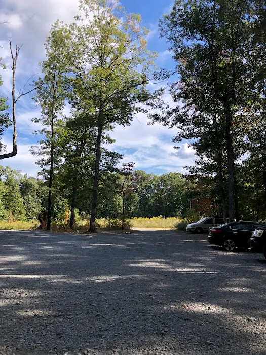 Shadowlands Picture 4