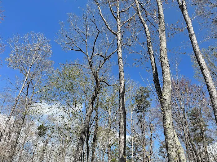 Shadowlands Picture 3