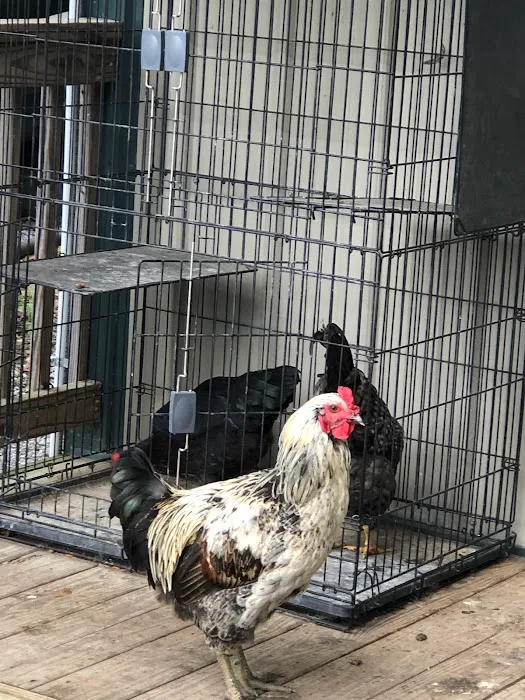 Shadowlands Picture 7