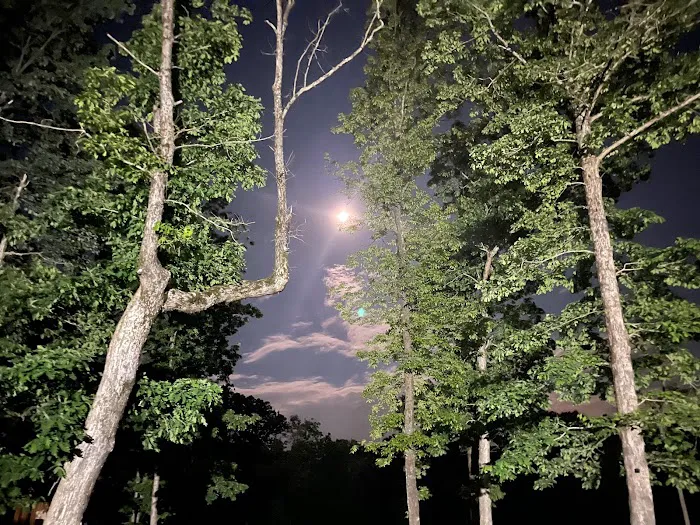 Shadowlands Picture 9