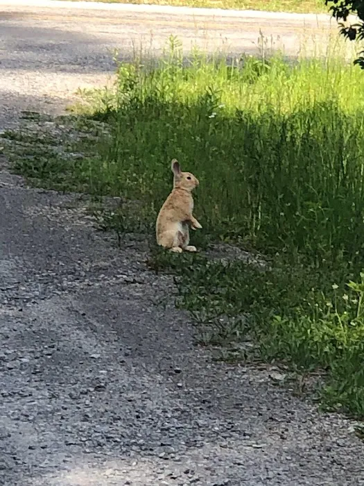 Shadowlands Picture 8