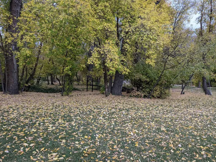 Camp Liberty Picture 3