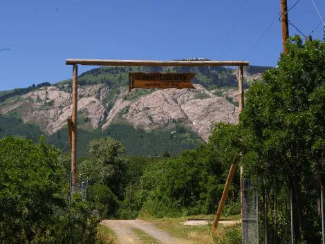 Camp Liberty Picture 7