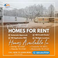 McDowell's mobile home park ico