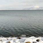 Willard Bay South Marina Campground