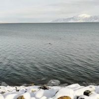 Willard Bay South Marina Campground ico