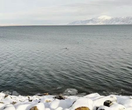 Willard Bay South Marina Campground