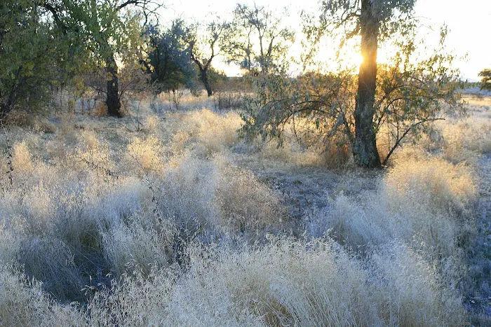 Willard Bay South Marina Campground Picture 6
