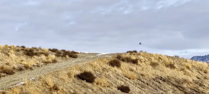 Willard Bay South Marina Campground Picture 7