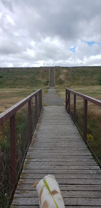 Willard Bay South Marina Campground Picture 8