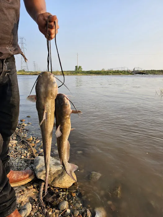 Willard Bay South Marina Campground Picture 1