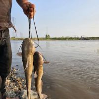 Willard Bay South Marina Campground ico