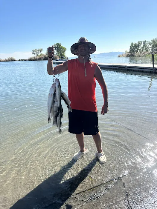 Willard Bay South Marina Campground Picture 8