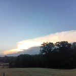 DKH Quarter Horse RV Park