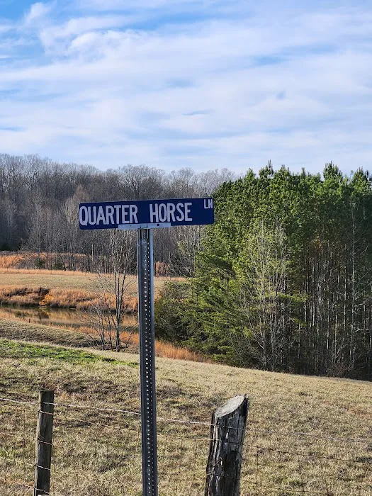 DKH Quarter Horse RV Park Picture 6