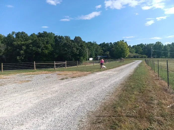 DKH Quarter Horse RV Park Picture 8