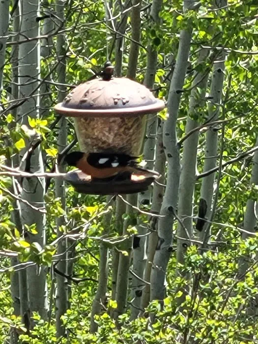 Sunridge Highlands Picture 2