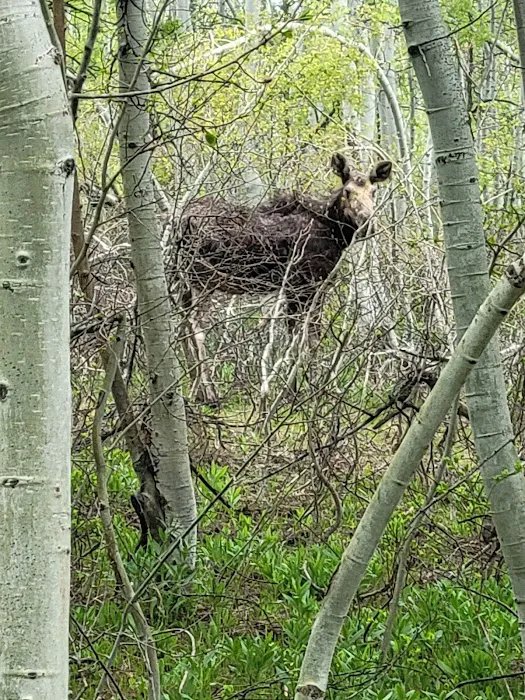 Sunridge Highlands Picture 1