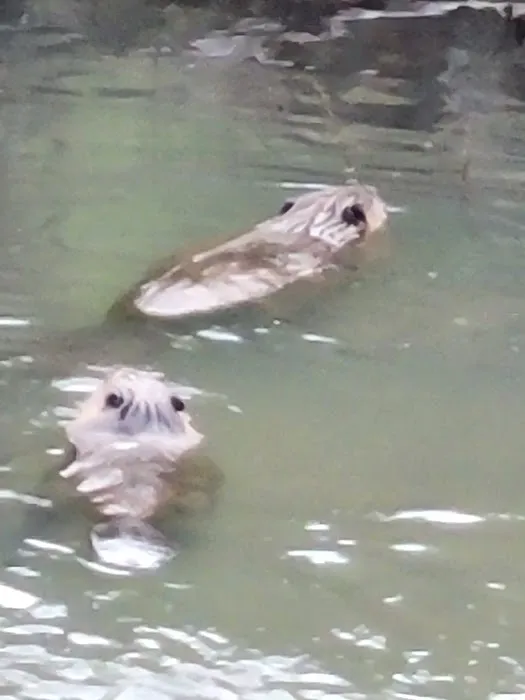 Sunridge Highlands Picture 4