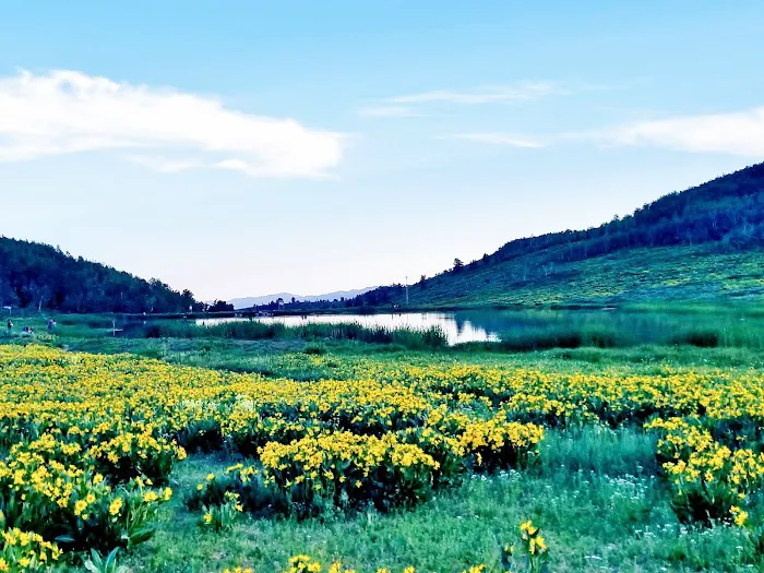 Sunridge Highlands Picture 6