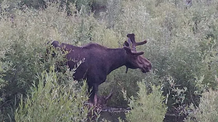 Sunridge Highlands Picture 9