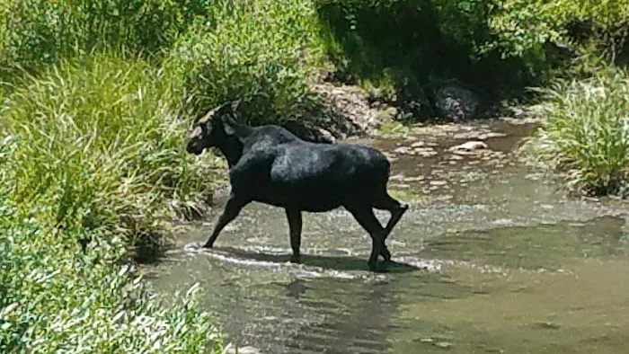 Sunridge Highlands Picture 10